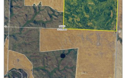 Ward County Land for Sale – 6.20.25